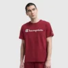 Κλασικό T-shirt με γραφικό, Script Logo