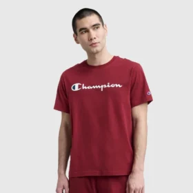 Κλασικό T-shirt με γραφικό, Script Logo